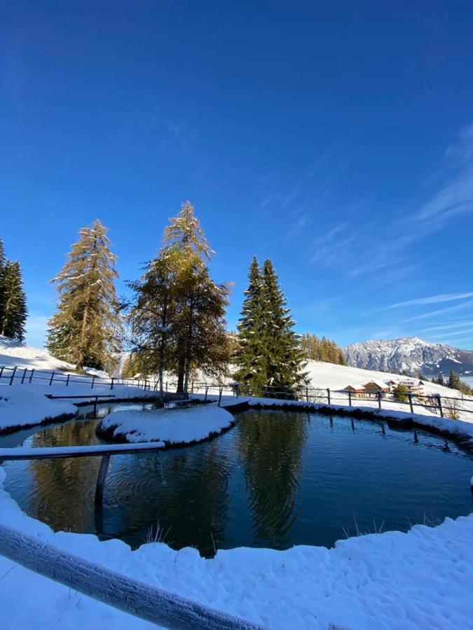 Kirchenbichlerhof Farm stay