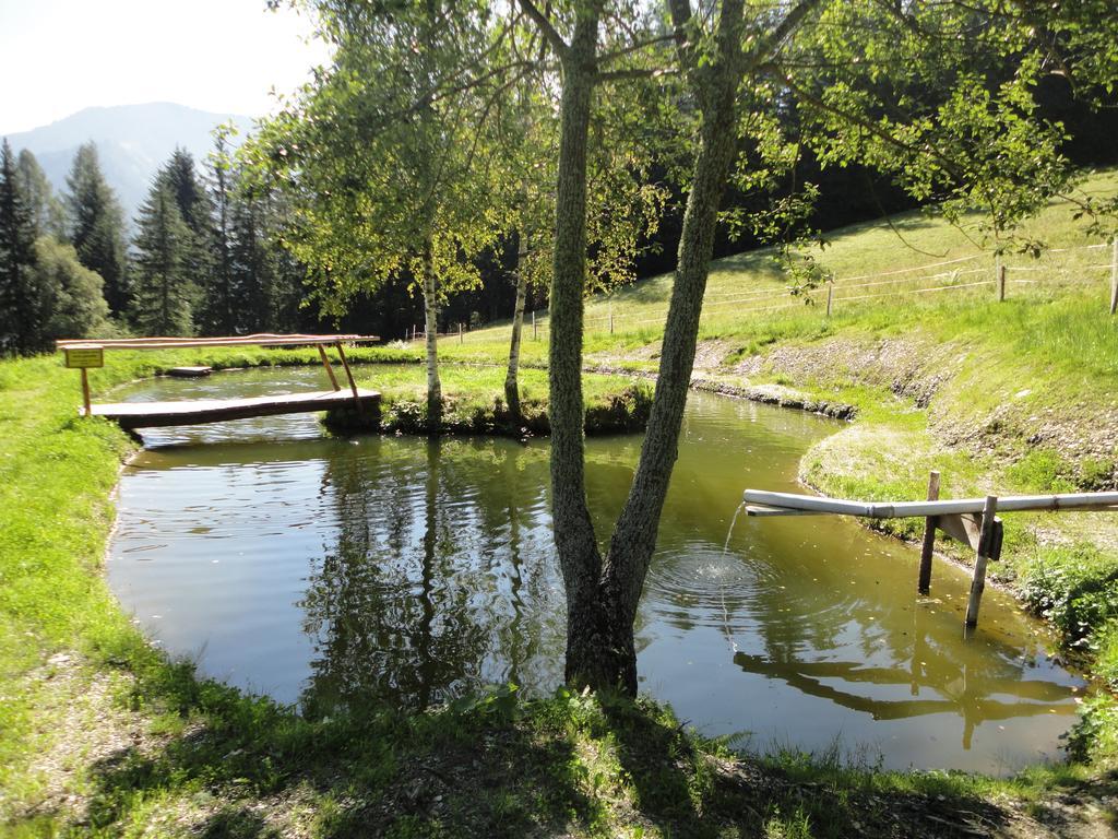 Kirchenbichlerhof * Pruggern
