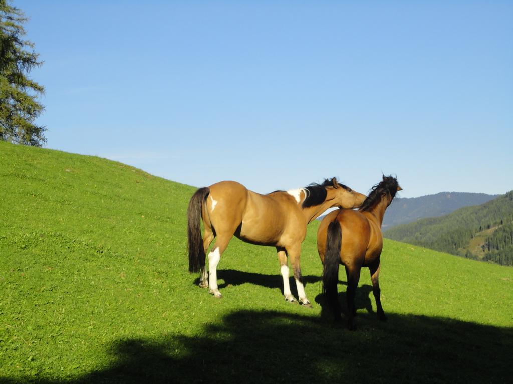 Kirchenbichlerhof Farm stay