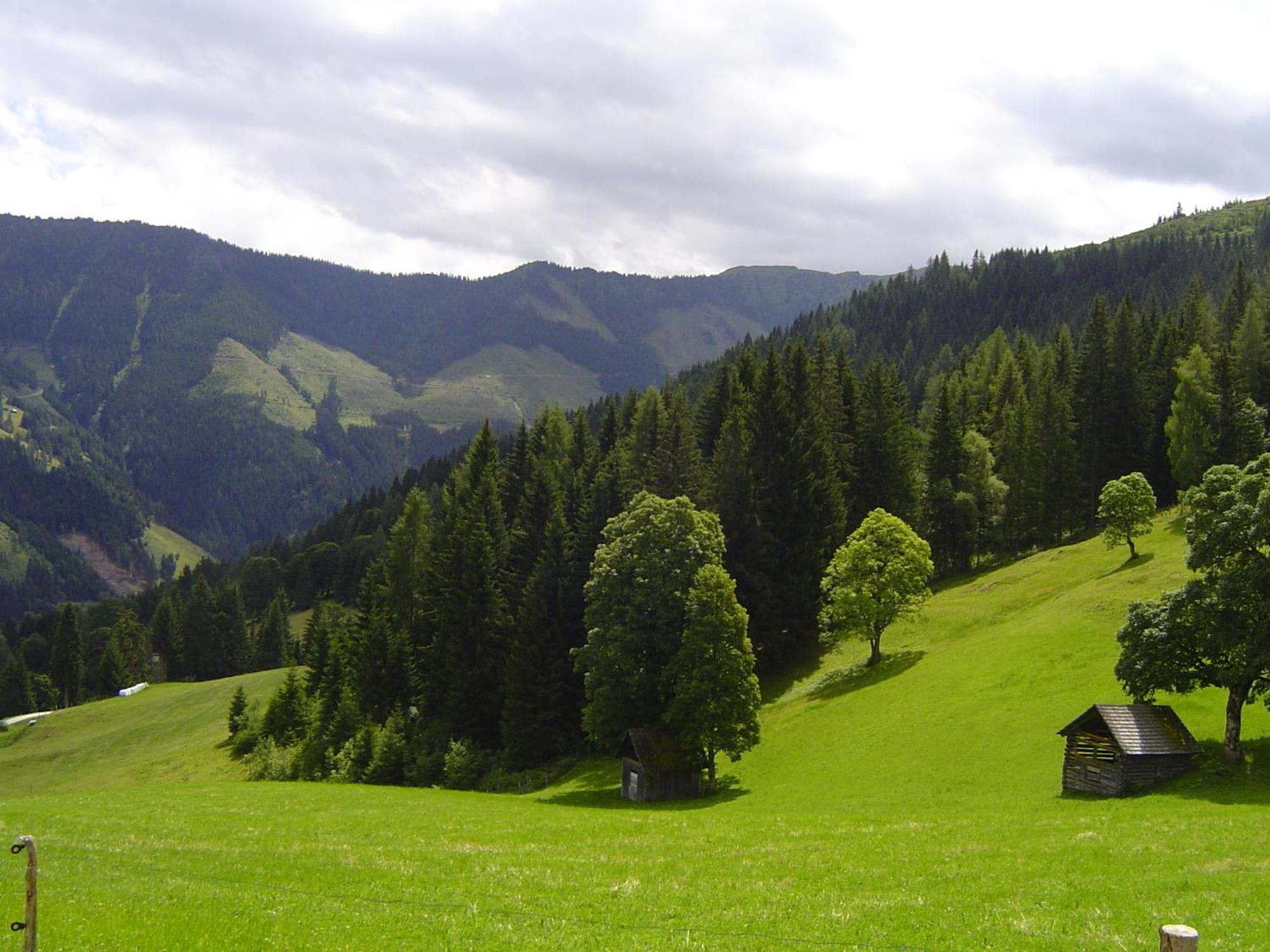 Kirchenbichlerhof Farm stay Pruggern